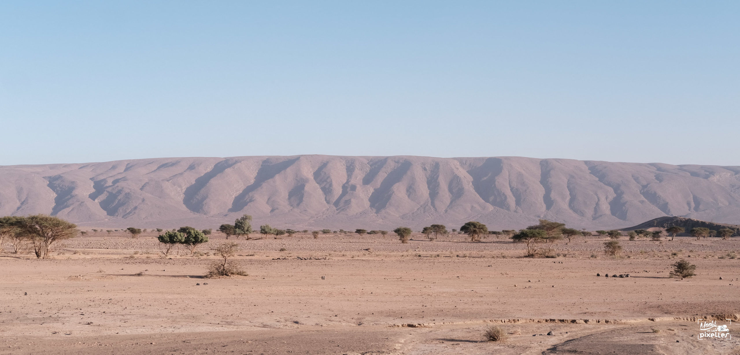 Paysage du sud marocain