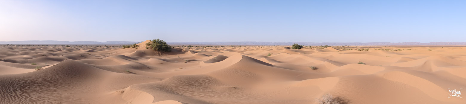 Panorama des dunes à M'hamid au Maroc