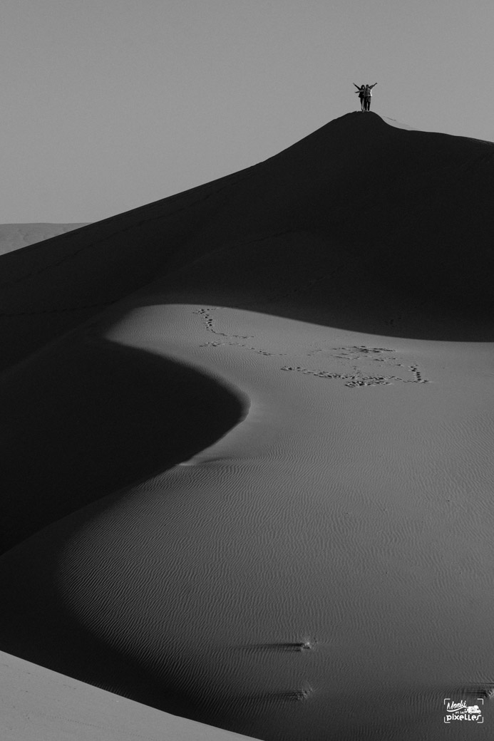 Les amies au sommet d'une dune dans le Sahara